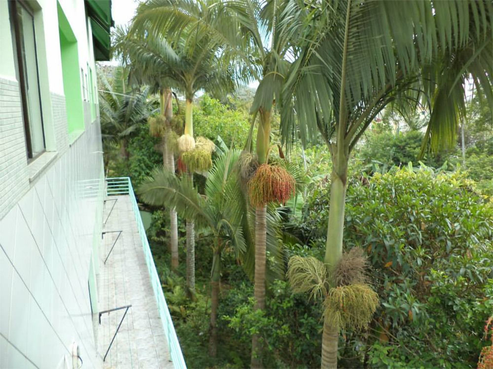 Hotel Pousada Reimar Balneario Camboriu Luaran gambar